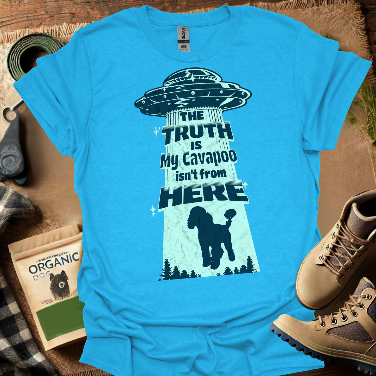 The Truth Is My Cavapoo Isnt From Here
