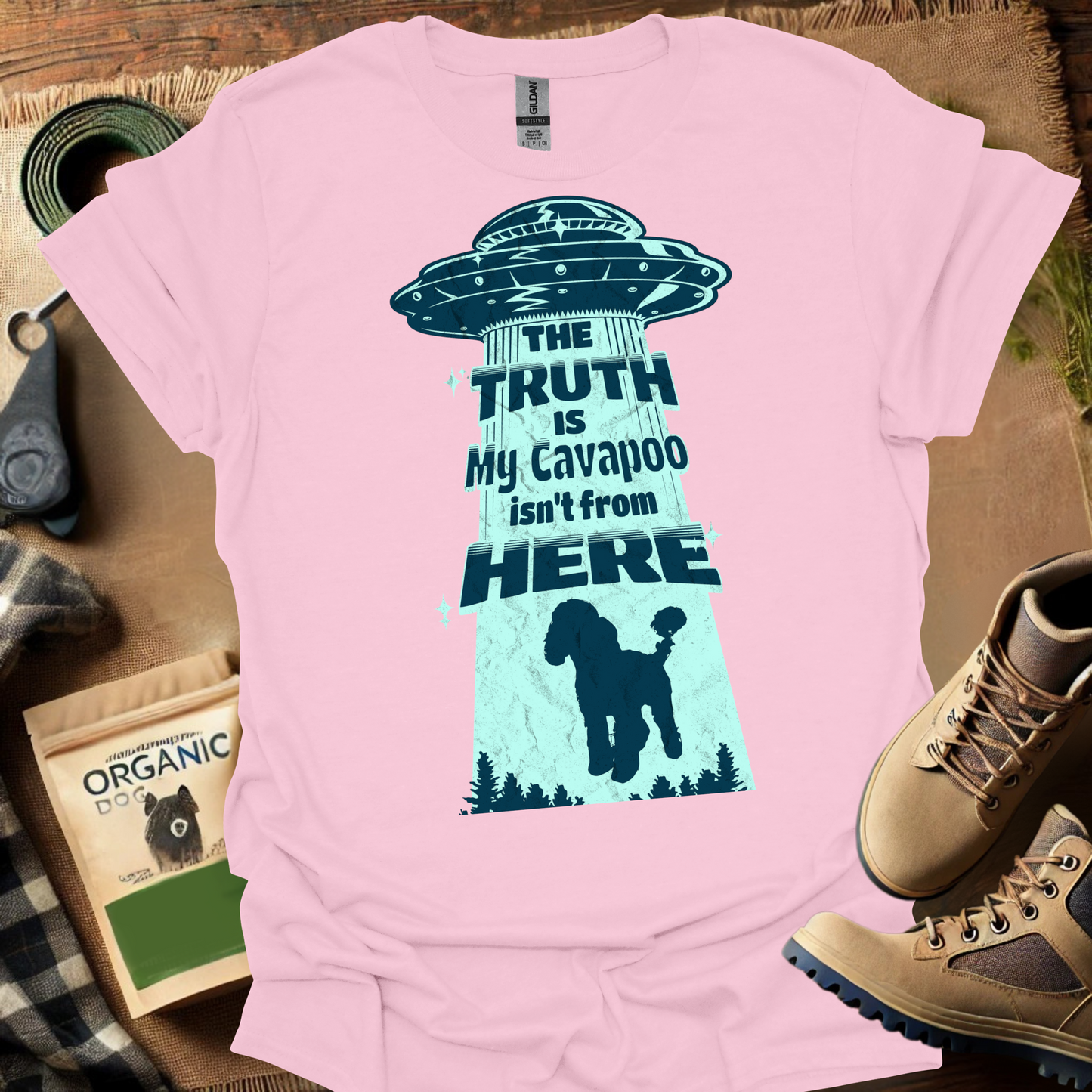 The Truth Is My Cavapoo Isnt From Here