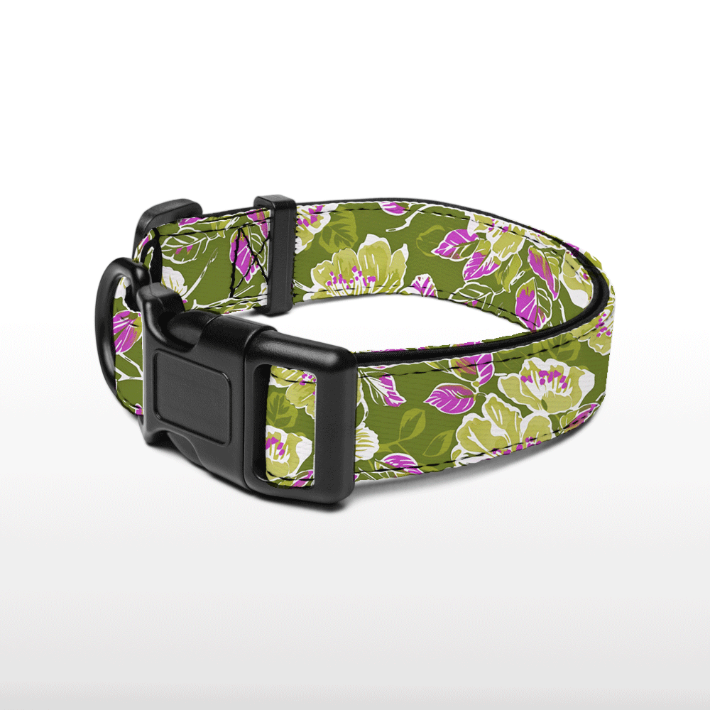 Plush Collar - Floral Fling