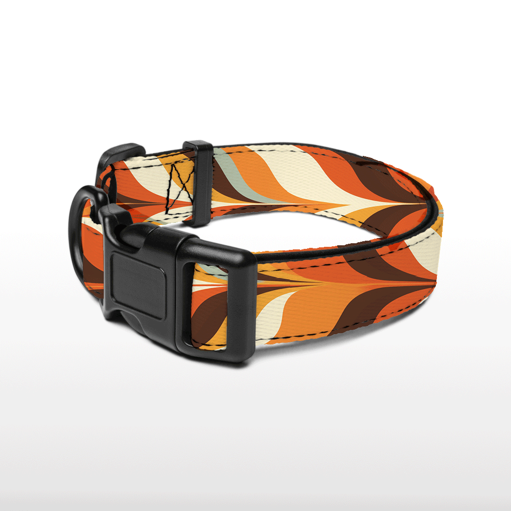 Plush Collar - Retro Radiance
