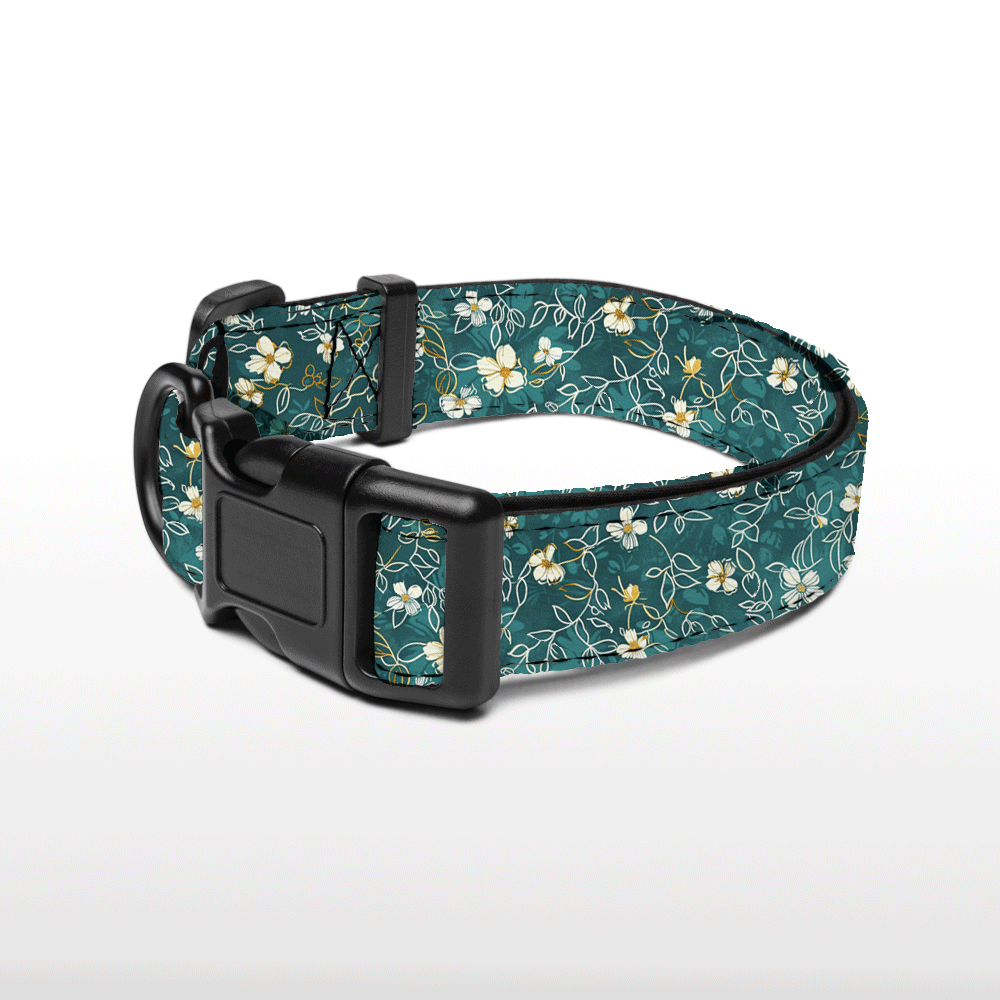Plush Collar - Soft Petals
