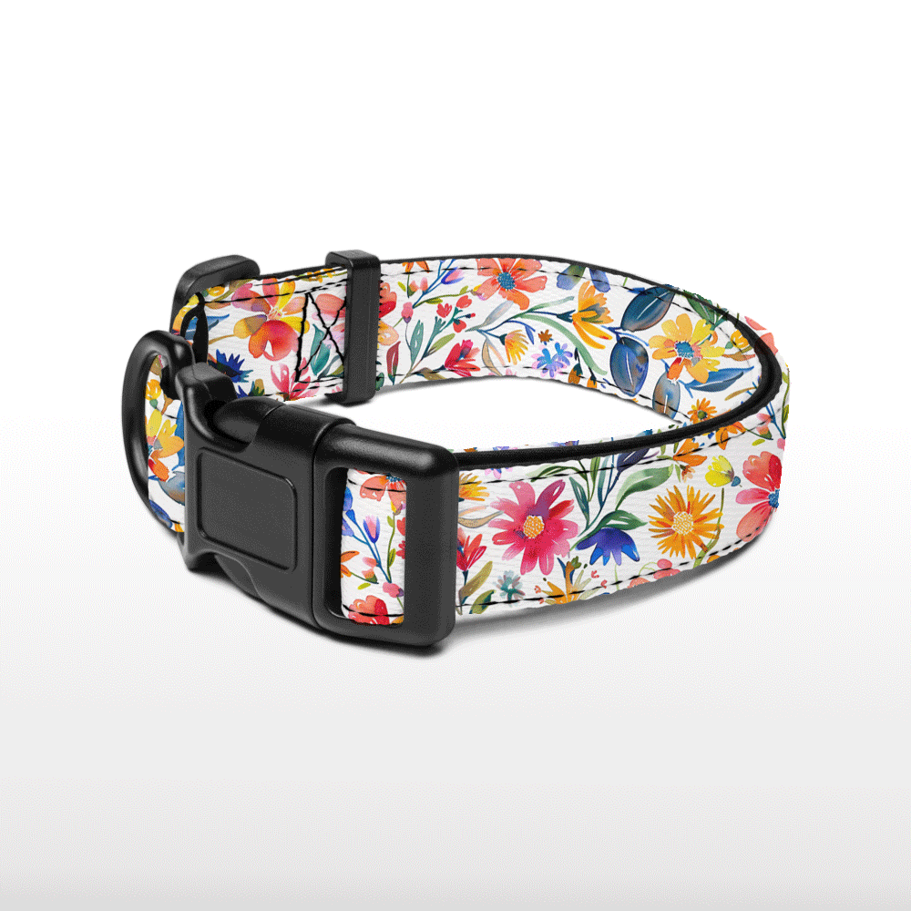 Plush Collar - Spring fling