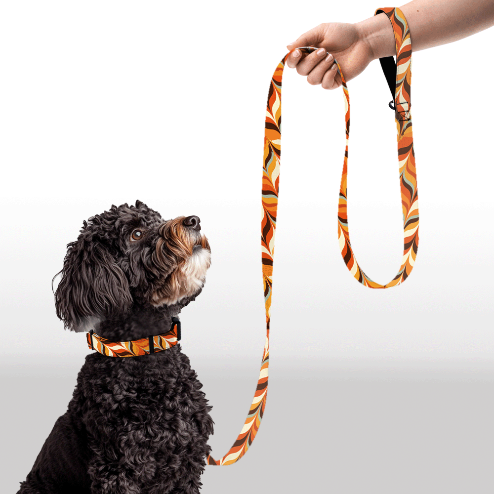 Plush Leash - Retro Radiance