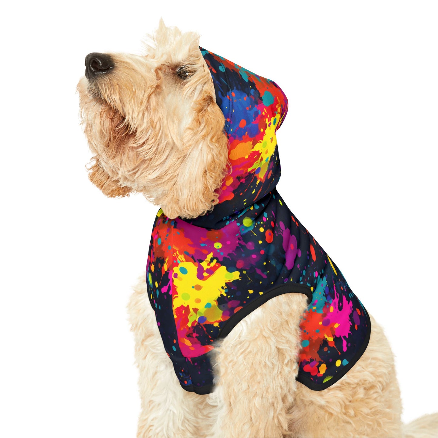 Plush Hoodie - Groove Galaxy