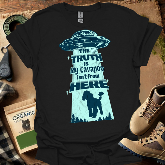 The Truth Is My Cavapoo Isnt From Here