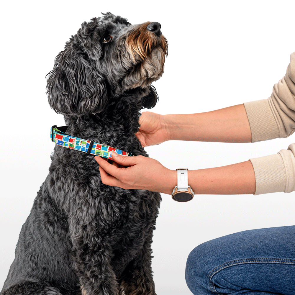 Plush Collar - All Square