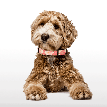 Plush Collar - Blossom Bling - Pink