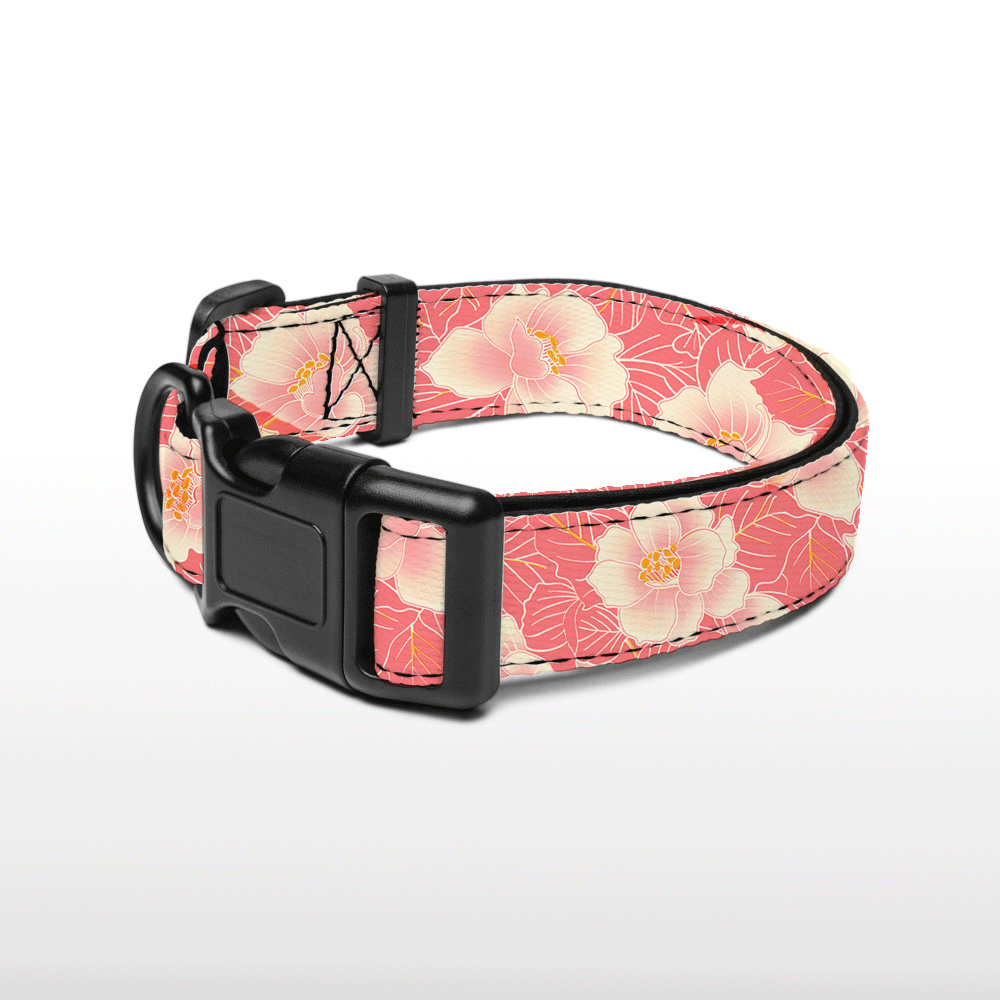Plush Collar - Blossom Bling - Pink