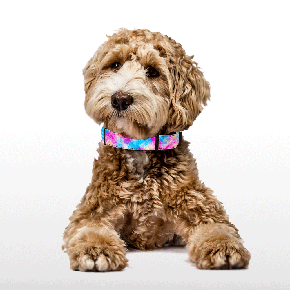 Plush Collar - Candy Cloudburst