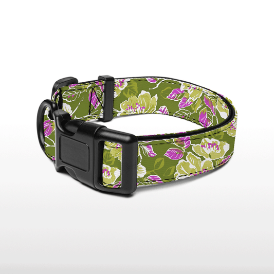 Plush Collar - Floral Fling