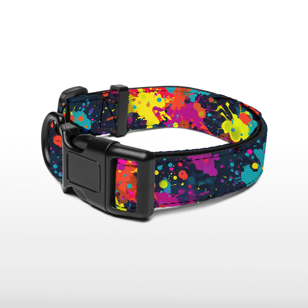 Plush Collar - Groove Galaxy