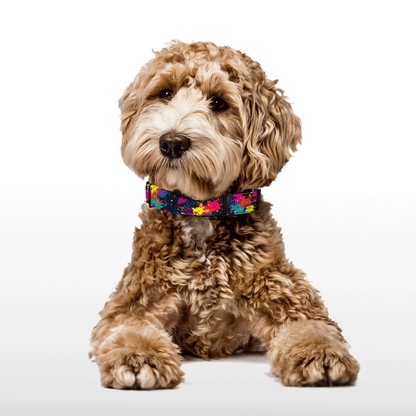 Plush Collar - Groove Galaxy