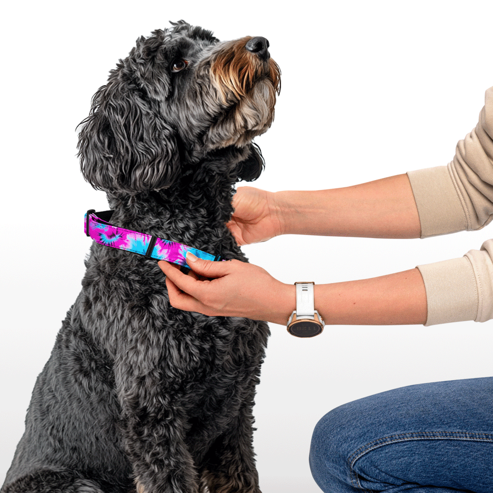 Plush Collar - Paw Pulse