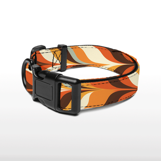 Plush Collar - Retro Radiance