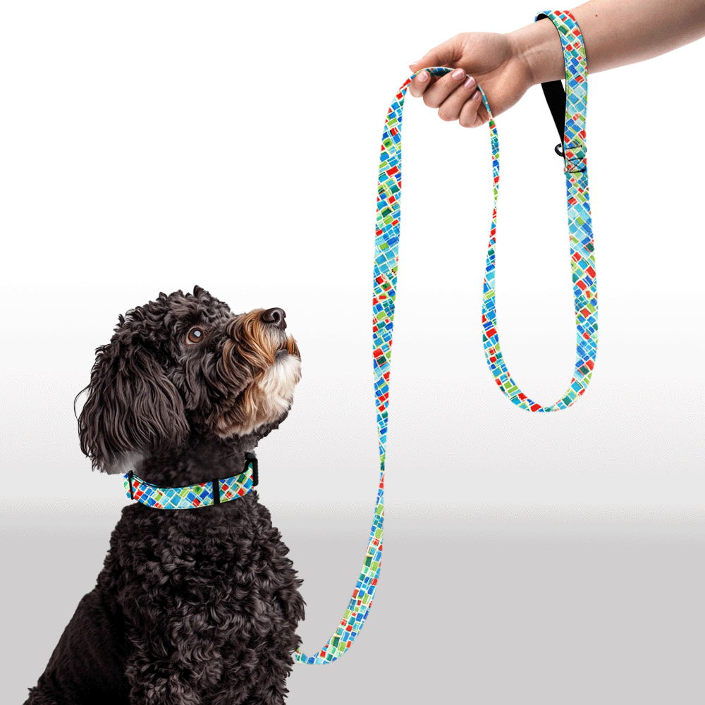 Plush Leash - All Square