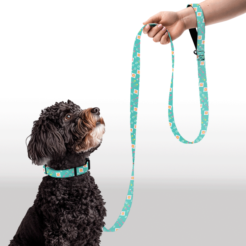 Plush Leash - Aztec Spark