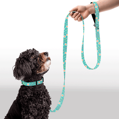 Plush Leash - Aztec Spark