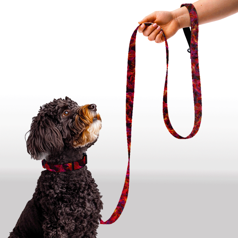 Plush Leash - Blaze n' Ripples