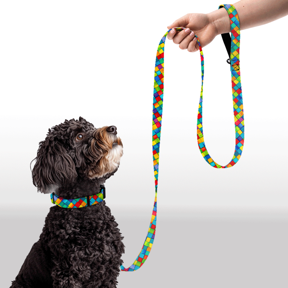 Plush Leash - Checkered Past