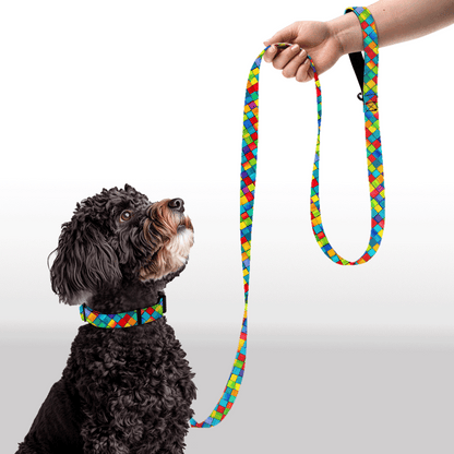 Plush Leash - Checkered Past