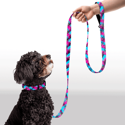 Plush Leash - Cyber Checkmate