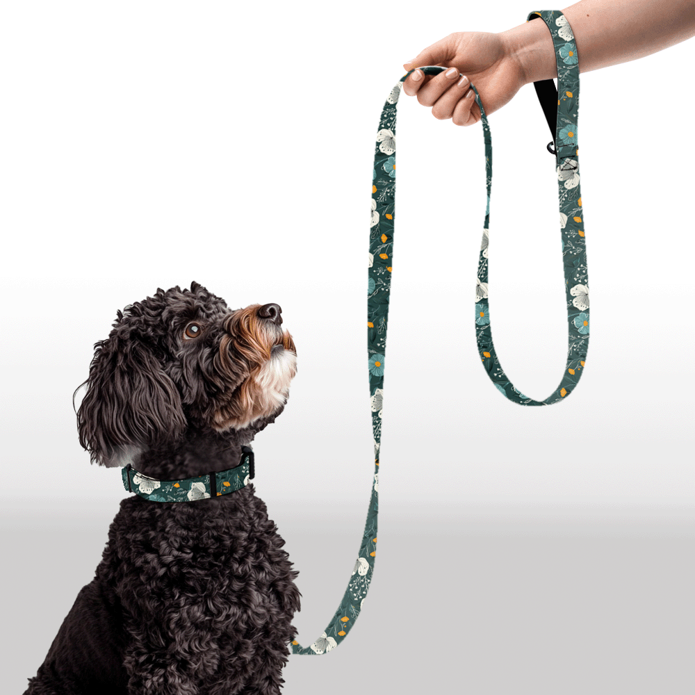 Plush Leash - Daisy All Day