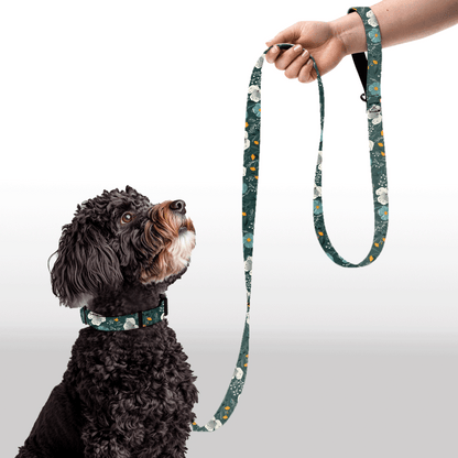Plush Leash - Daisy All Day