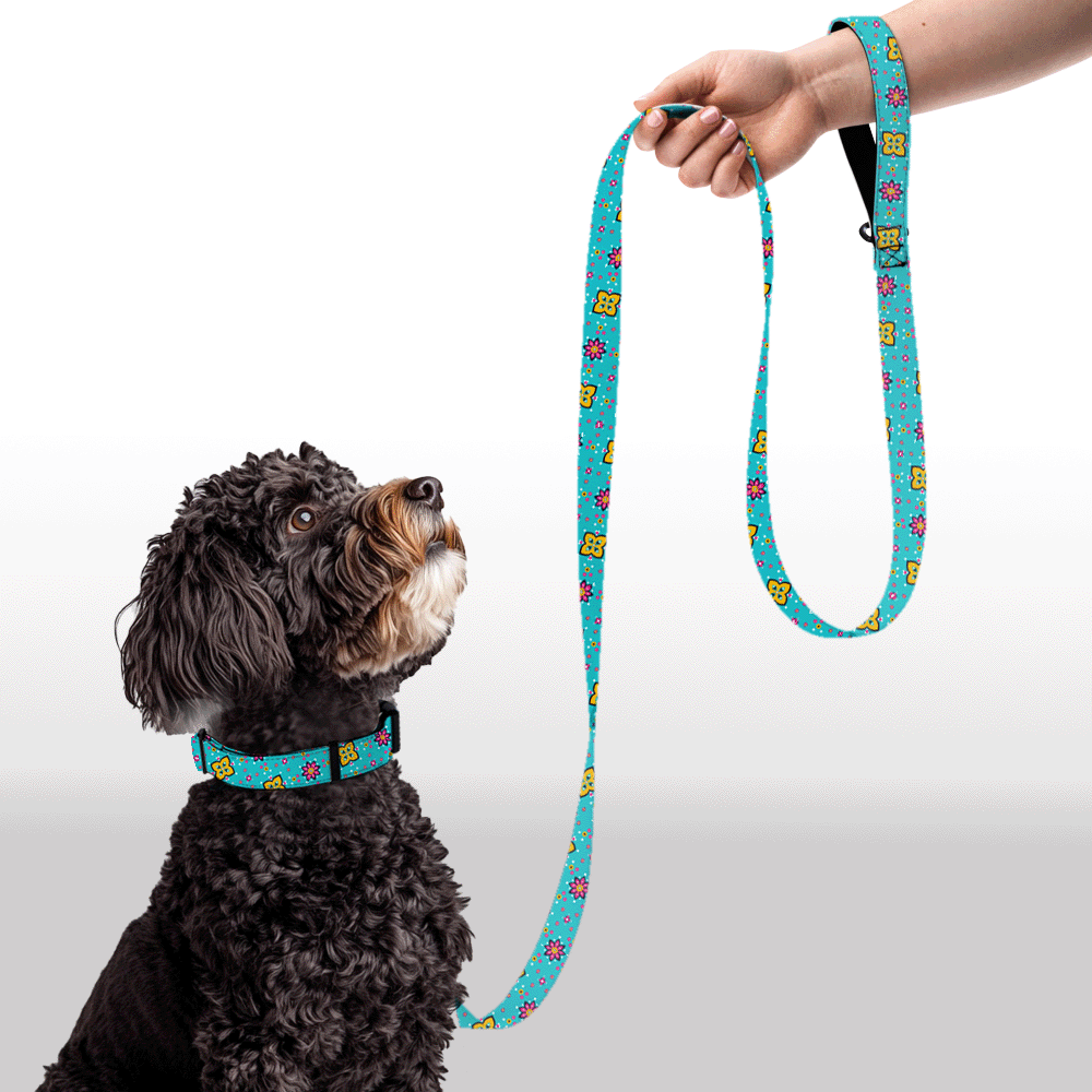 Plush Leash - Daisy Delight