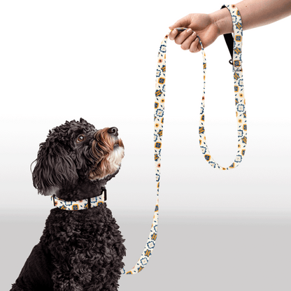 Plush Leash - Desert Diamonds