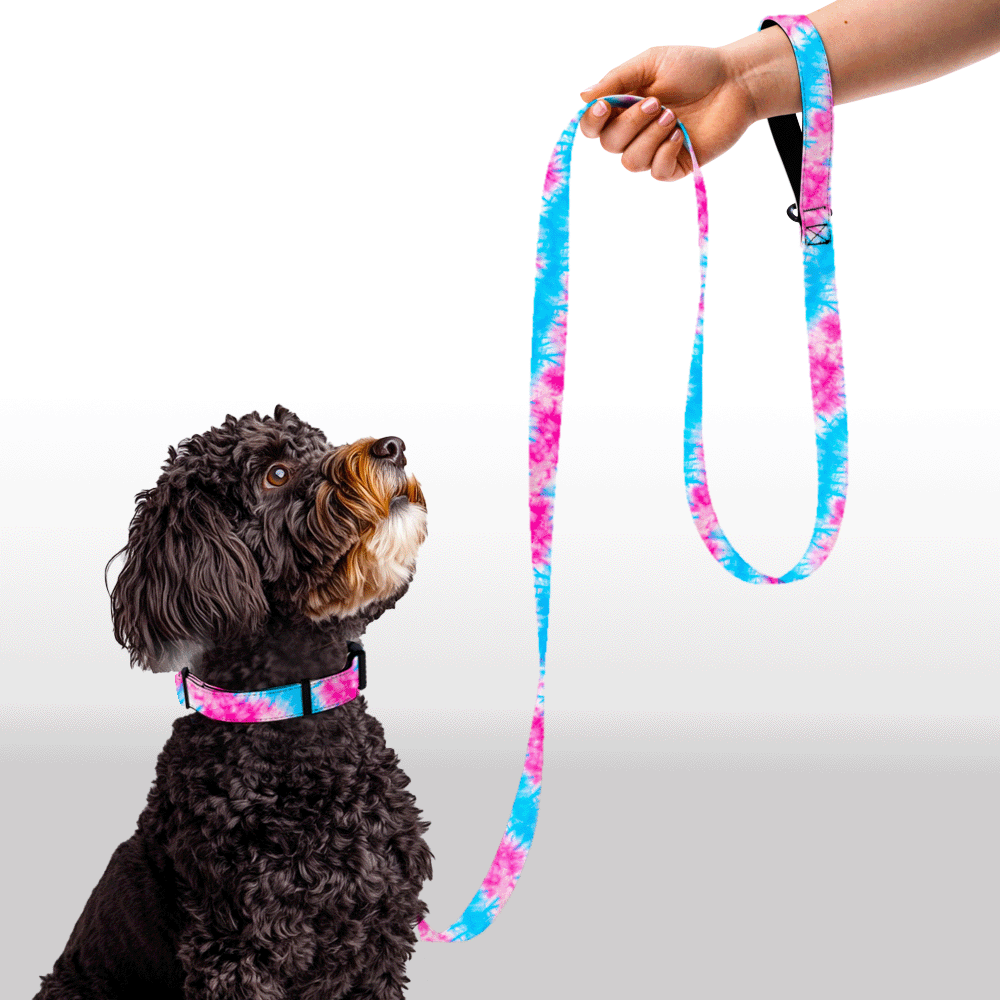 Plush Leash - Fluff & Swirl