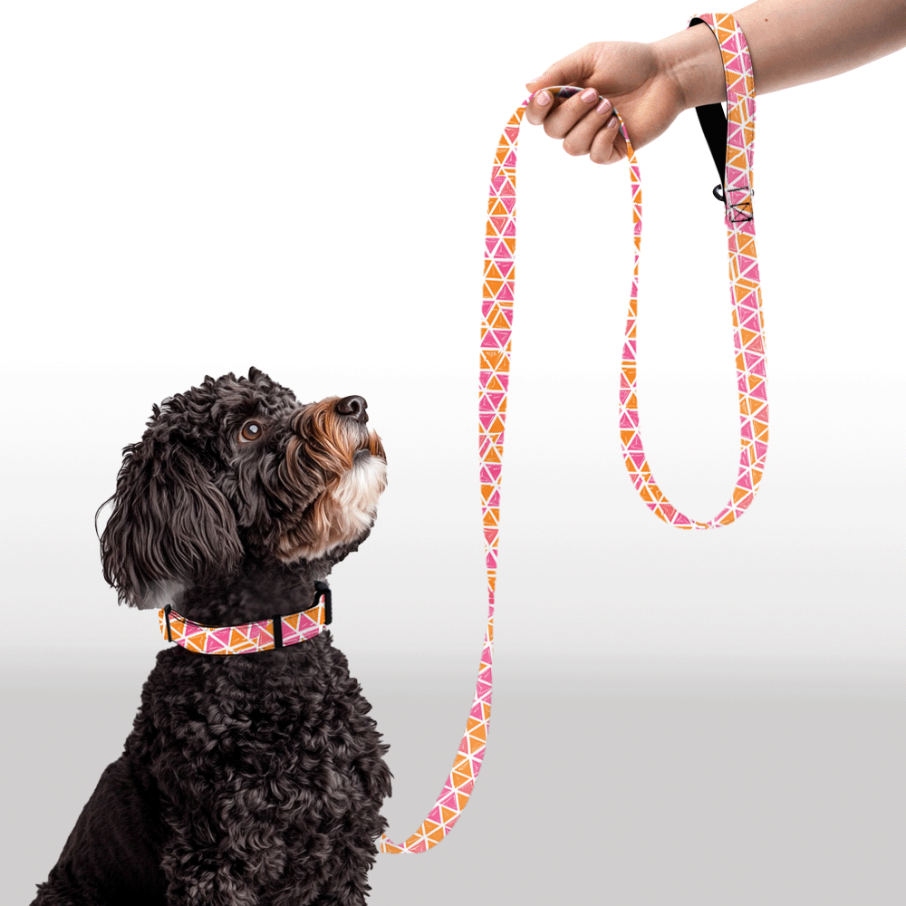 Plush Leash - GeoFlare