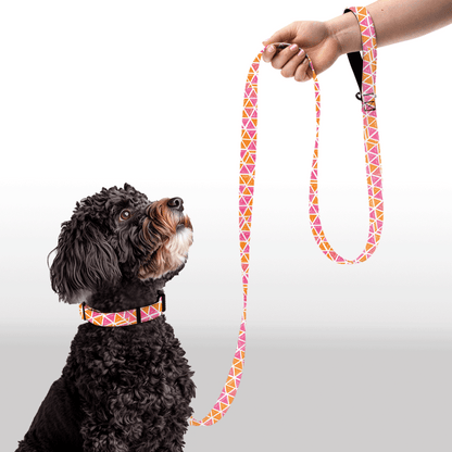 Plush Leash - GeoFlare