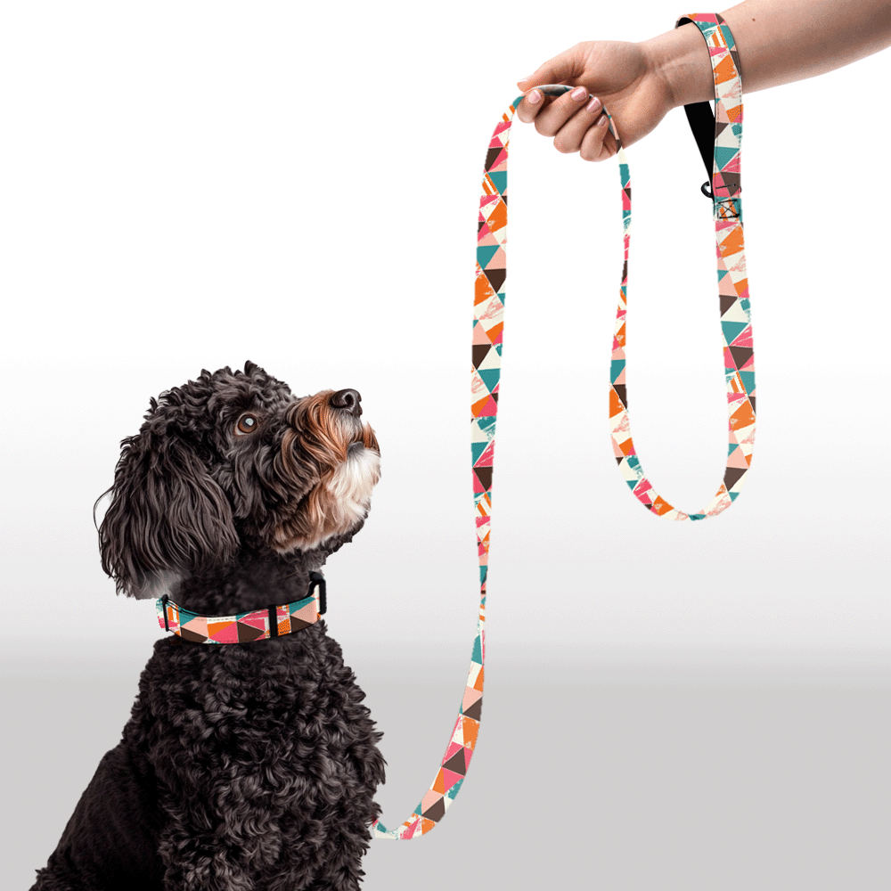 Plush Leash - Harlequin Hip-Hop