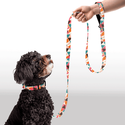 Plush Leash - Harlequin Hip-Hop
