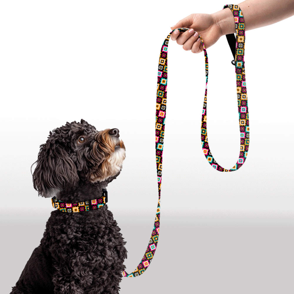 Plush Leash - Kaleido-doodle