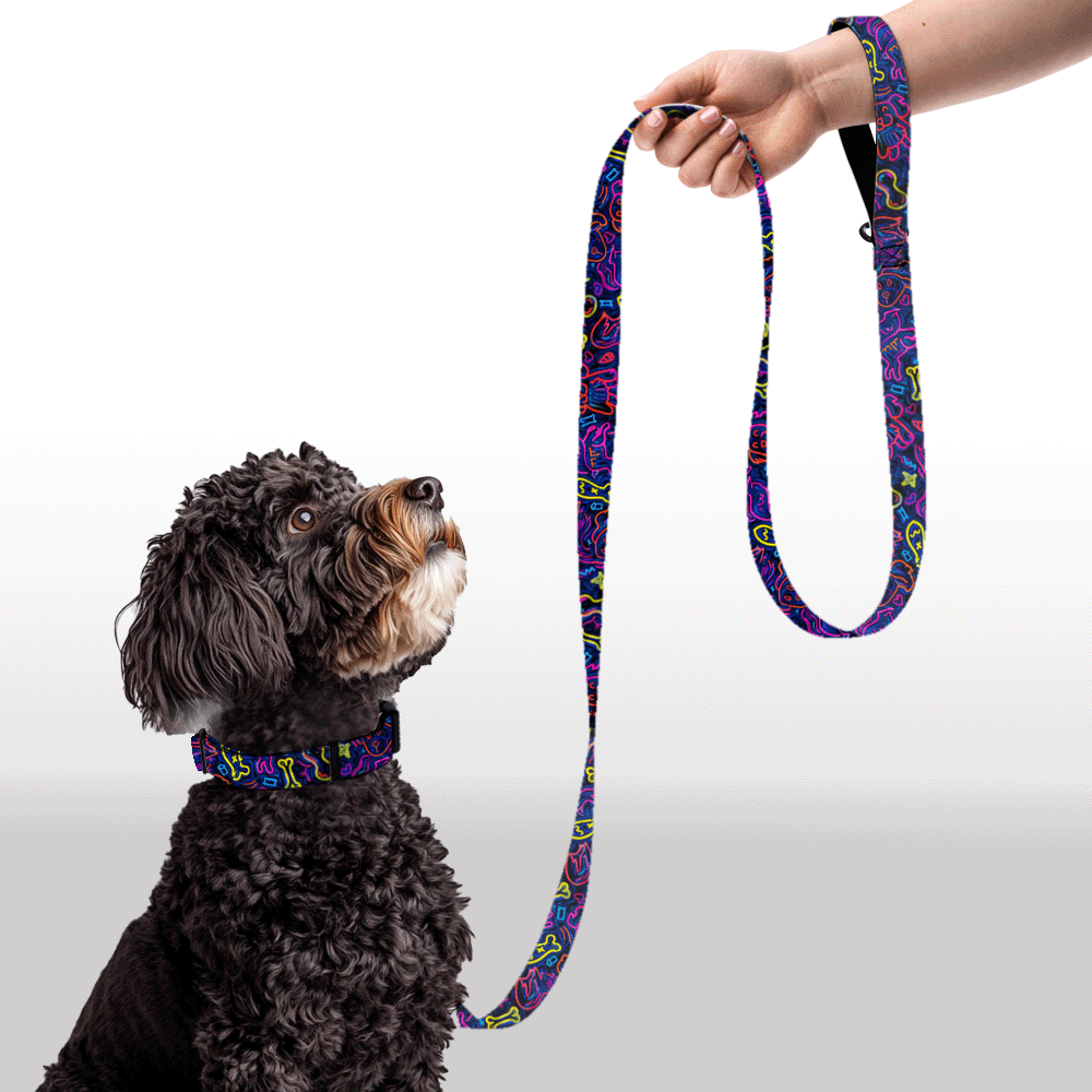 Plush Leash - Luminous Doodles