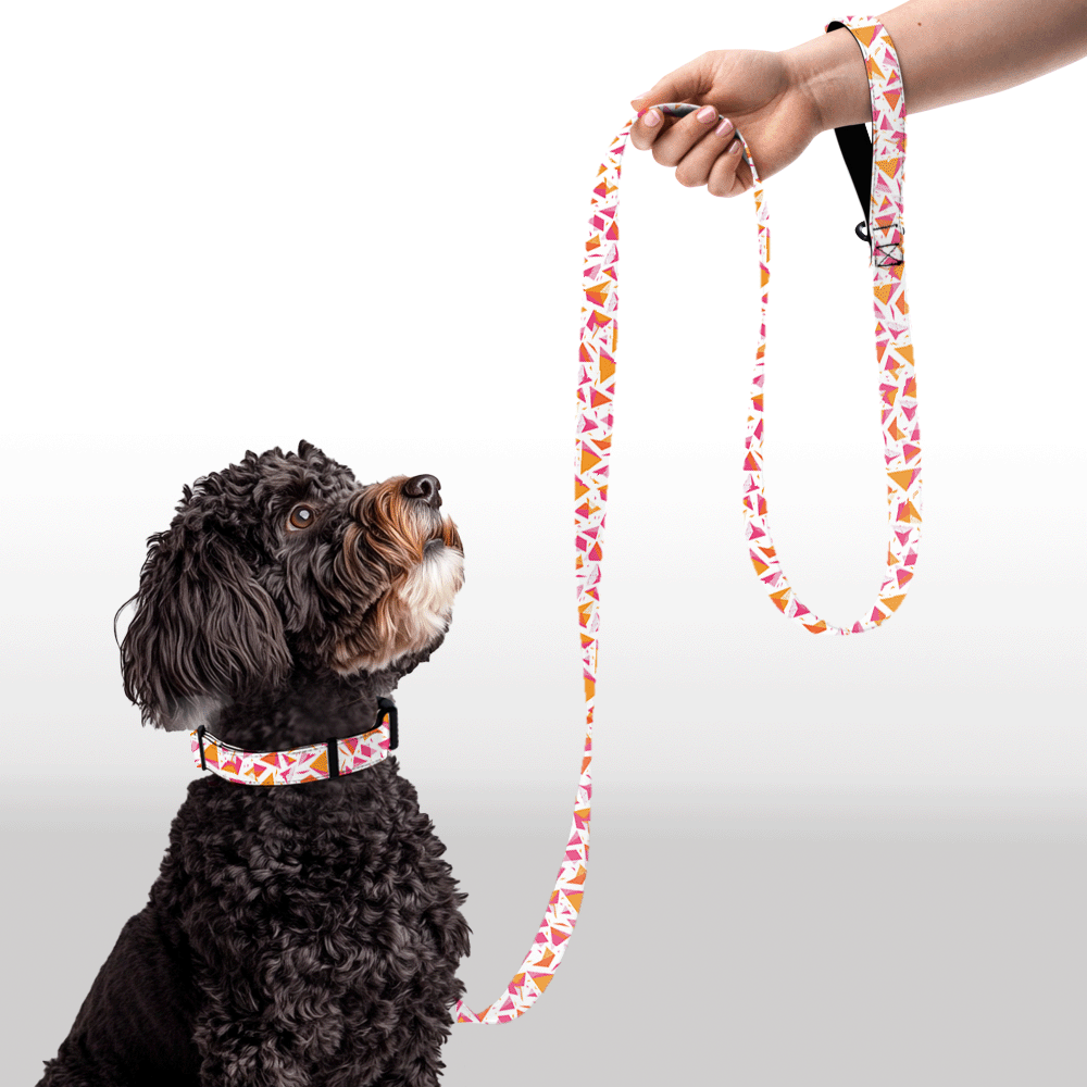 Plush Leash - Prism Pop
