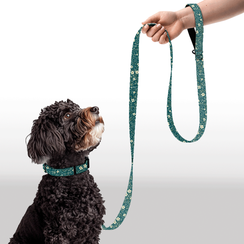 Plush Leash - Soft Petals