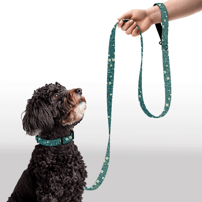 Plush Leash - Soft Petals