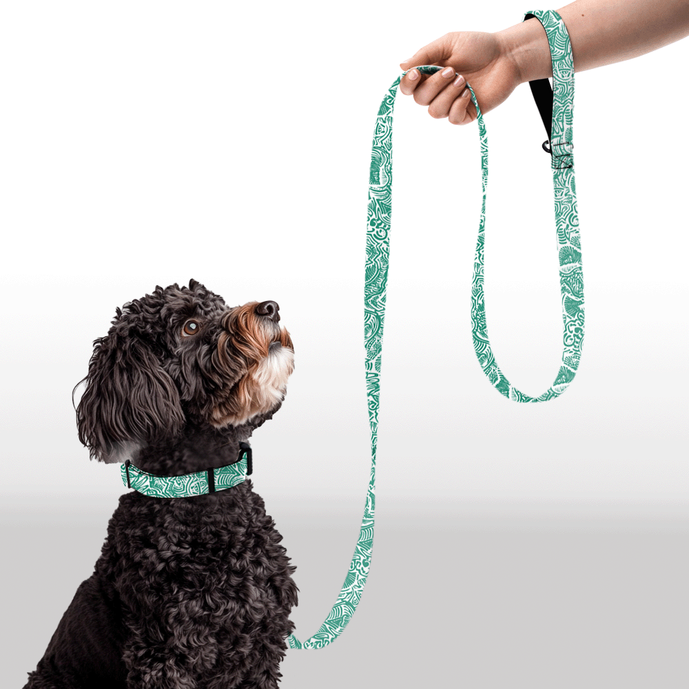 Plush Leash - Squiggles