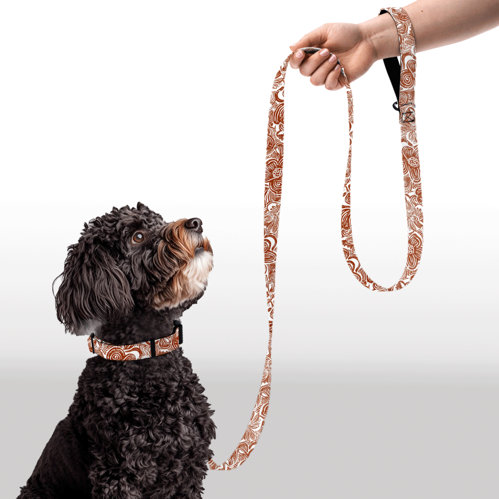 Plush Leash - Swizzle