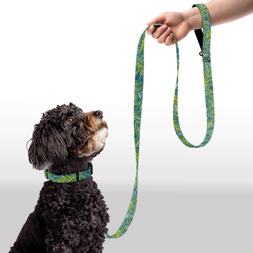 Plush Leash - Very Palmy