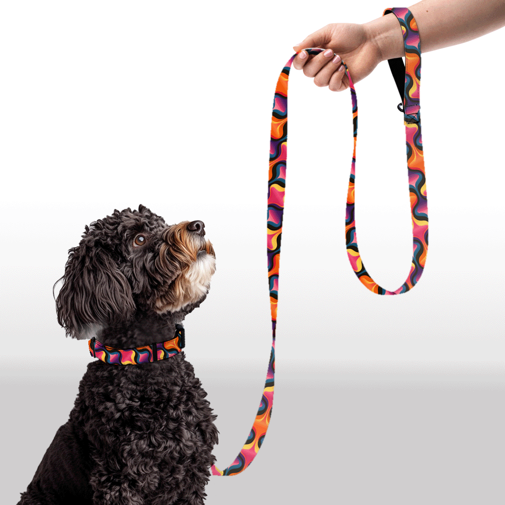 Plush Leash - Vivid Vortex