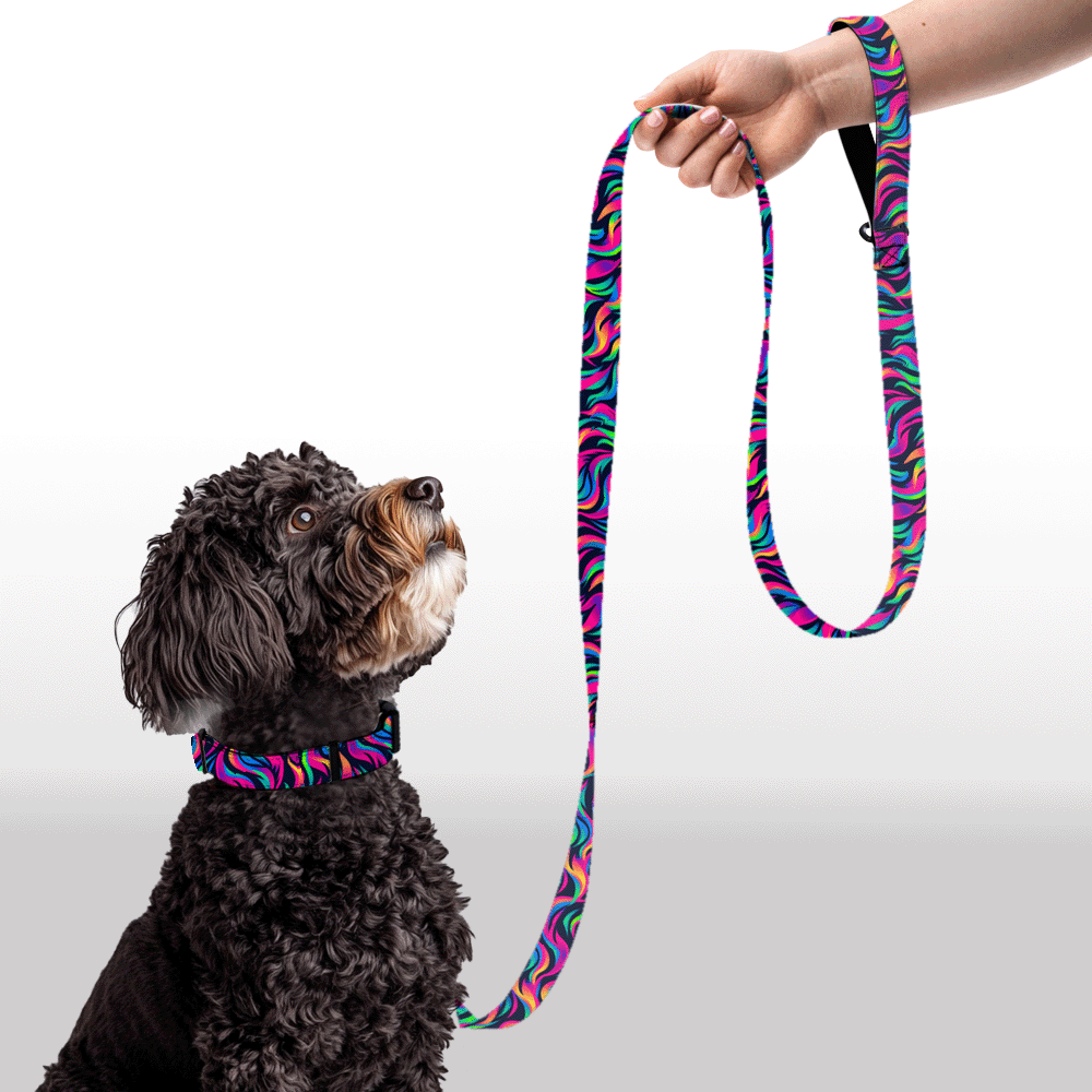 Plush Leash - Wavy Wonderland