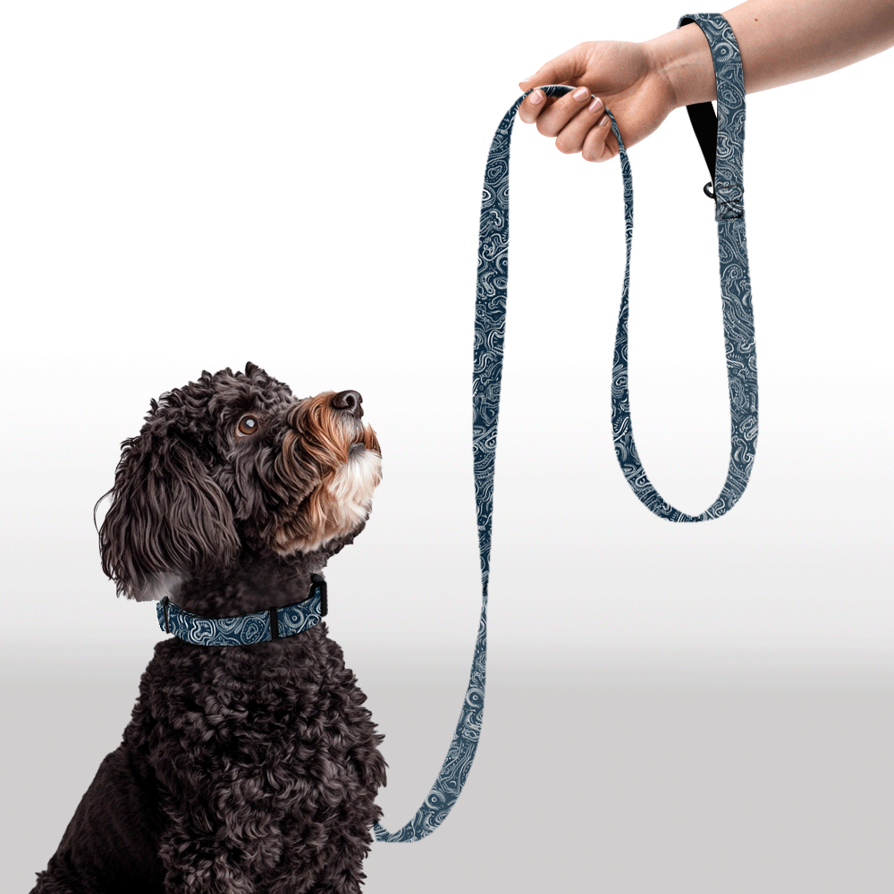 Plush Leash - Wiggles