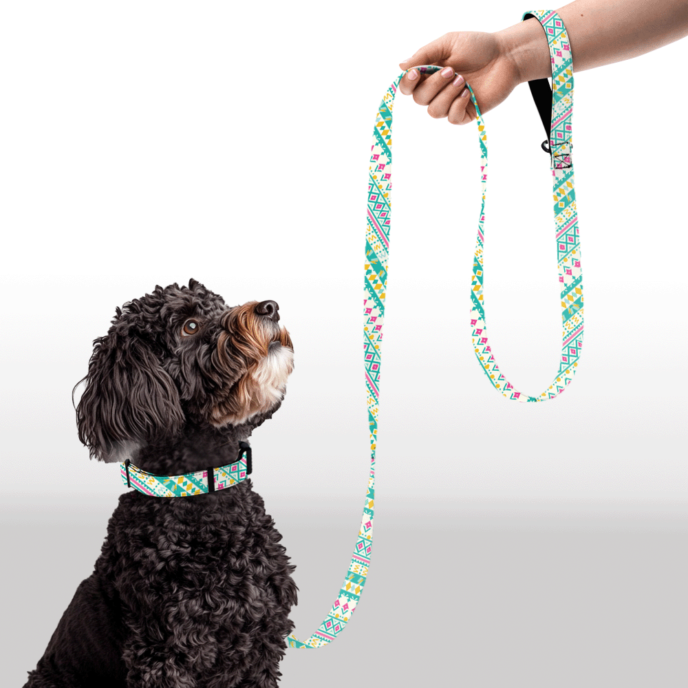 Plush Leash - Zesty Geo